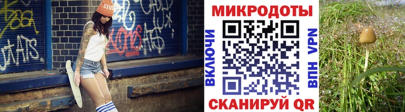 Псилоцибиновые грибы прущие грибы  купить  сайты  гидра tor  Янаул 