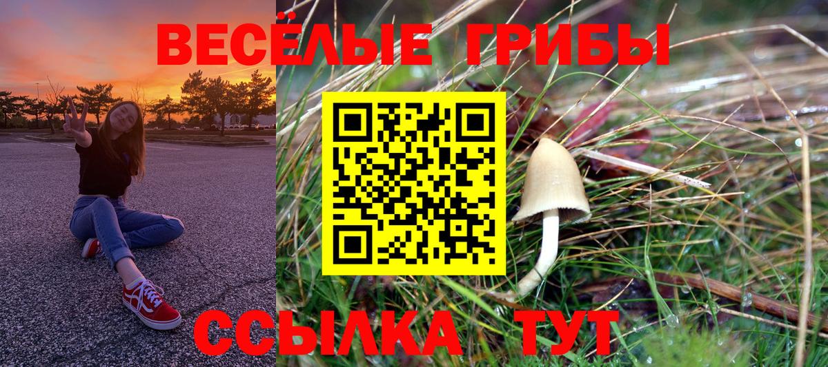 где найти наркотики  Галлюциногенные грибы Psilocybe  Вход с VPN  Псилоцибиновые грибы мицелий  Янаул 